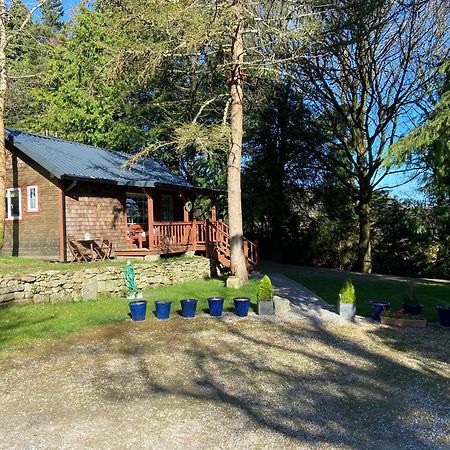 Willow Lodge Dublín Exterior foto