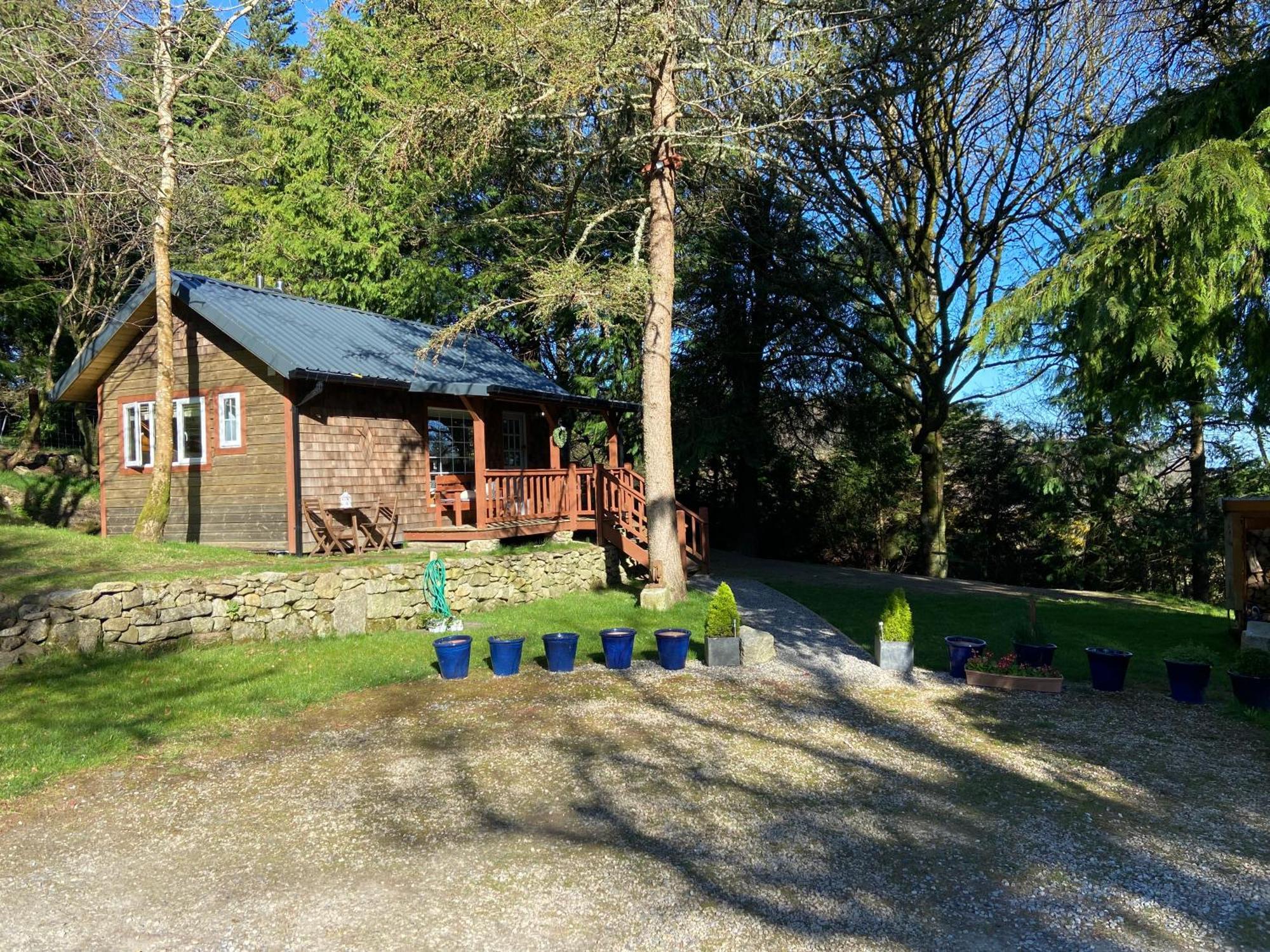 Willow Lodge Dublín Exterior foto